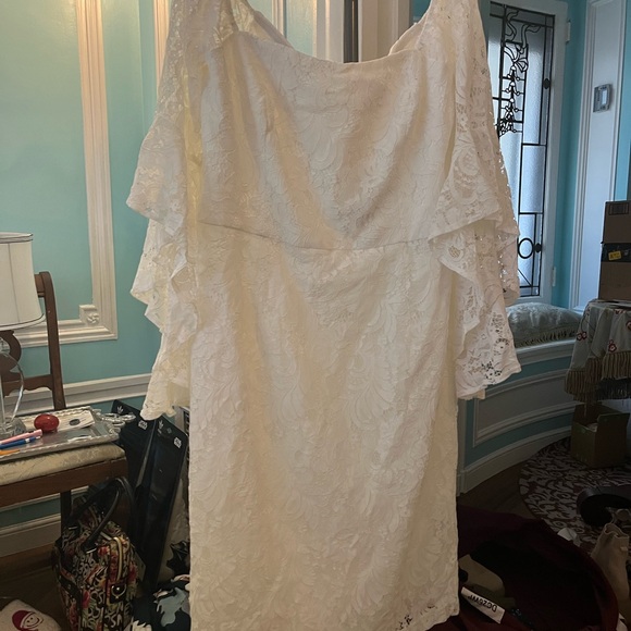 City Chic Cream Lace Knee Length Wedding Dress - Picture 4 of 4